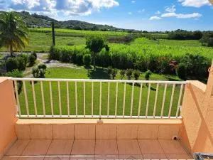 Fleurs d'hibiscus - Partarieux