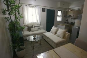 Bristle Ridge Condo in Baguio w Netflix