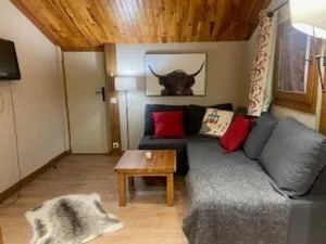 Appartement spacieux proche centre village avec balcon et vue Mont Blanc - FR-1-181-2479 - 蒙查往