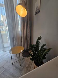 ZIG ZAG apartment 4- Old Town