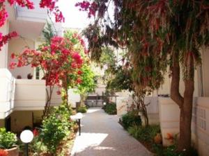 Apelia Apartments Chania Greece