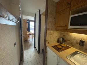 Studio Charmant Skis aux Pieds · Animaux Bienvenus - FR-1-181-2607