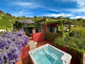 Domaine Victoria - Avapessa