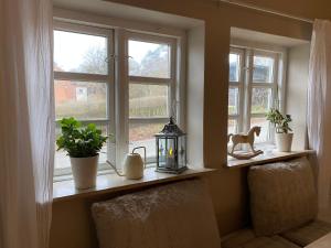 Sofies Hus - Munkgaard