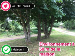 Maisons de vacances Le Petit Triskell, Gites culturel a la Roche Bernard, Gite les petits bonheurs : photos des chambres