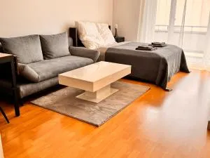 Gemütliches 1 Zimmer Apartment - 施塔特贝根