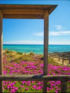 Wine Suite - Monacizzo