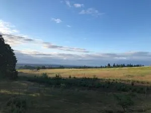 2 Bedroom Suite: Views, Private Entrance, EVchgr - Willamina