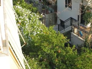Nick House Lesvos Greece