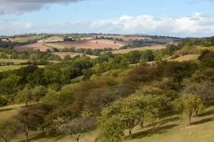 The shepherds hut at abberley glamping - Stanford on Teme