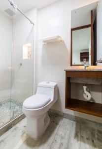 Hotel Casa botero 105