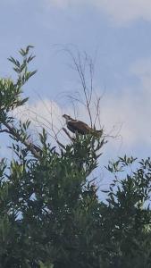 Quinta Paraiso Presa de la boca
