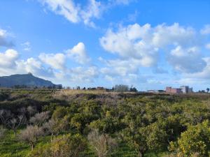 Quinta Stagione