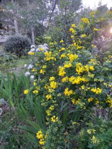 Tentes de luxe La roulotte du petit paradis : photos des chambres