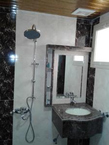 نخلة الصحراء للشقق المخدومة