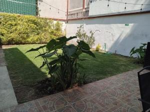 Vértiz Pasos del Parque de los Venados H4