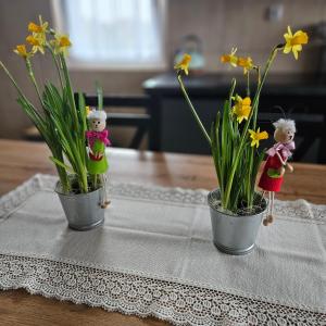 Apartament Rabinówka