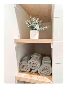 Southern Comfort - Hot tub - Modern - Relaxing