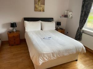 Padua Guest Accommodation Rosslare