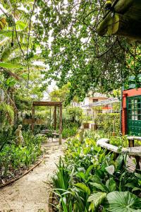 Avó Isaura - Aluguel de Estúdios