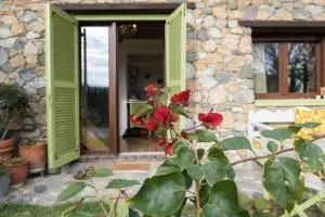 Country House Spitaki Γραφείο - Velika
