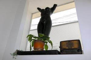 Hotel Casa Botero 301