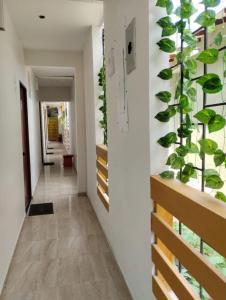 La Rivera Playa Palomino