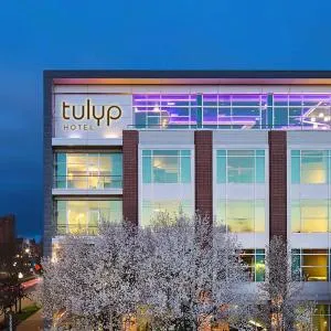 Tulyp, Tapestry Collection by Hilton - West Olive