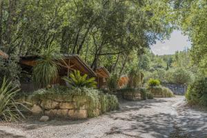 Campings Slow Village La Roque Sur Ceze : photos des chambres