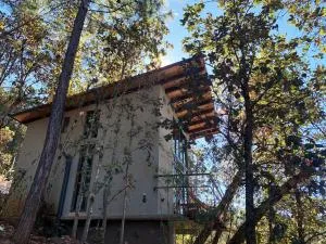 Sento SanMa - Pluma Hidalgo