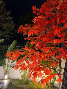 Căn Villa 9 Ngủ Vip Trung tâm Bãi Cháy