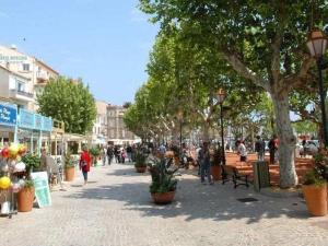 Appartements Appartement T2 avec Terrasse Sud, Garage, Centre-ville du Lavandou, Proche Plage - FR-1-251-789 : photos des chambres