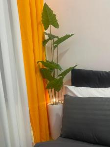 Simple Yet Special n SOUTH RESIDENCES