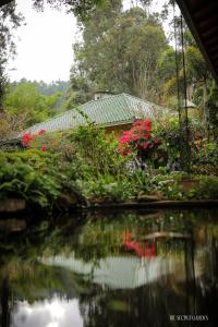 The Secret Garden