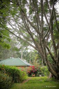The Secret Garden