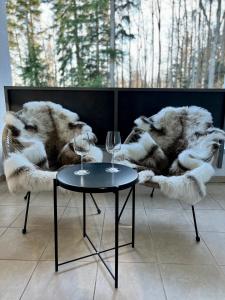 Foxi apartment, Pohorje