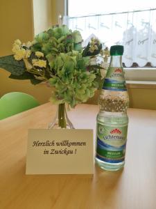 Ferienwohnung im Zentrum Zwickaus