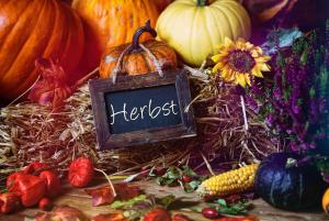 Eifelferienwohnungen "Familie Saxler"