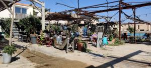 B&B / Chambres d'hotes Rue Galilee : photos des chambres