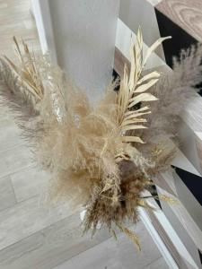 Appartements Le Joseph - 5 minutes du centre ville : photos des chambres