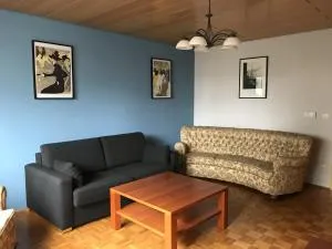 Business Apartment - 瓦尔德纳布河畔诺伊施塔特