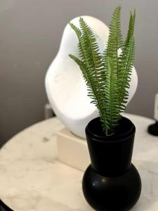 Modern 2 bed close to mall with parking & garden