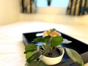 Modern 2 bed close to mall with parking & garden