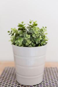 Maisons de vacances Maison de charme 3 chambres remparts de Guerande : photos des chambres