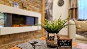 Ferienwohnung-Allgaeu-Pfronten -Inkl KönigsCard Fewo Kienberg