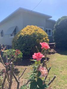 Philomena's 60s cottage in Scone