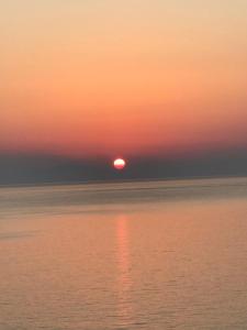 Appartements BASTIA Appartement face a la mer a 100 m : photos des chambres