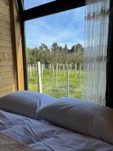 Orion Cottage