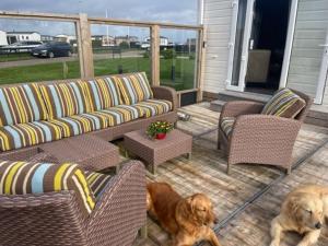 Neues Ferienhaus Nr 47 mit Meerblick 100 Meter zum Wattenmeer, eingezäunt, hundefreundlich