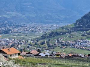 Rasnerhof Ferienwohnung Zielspitz